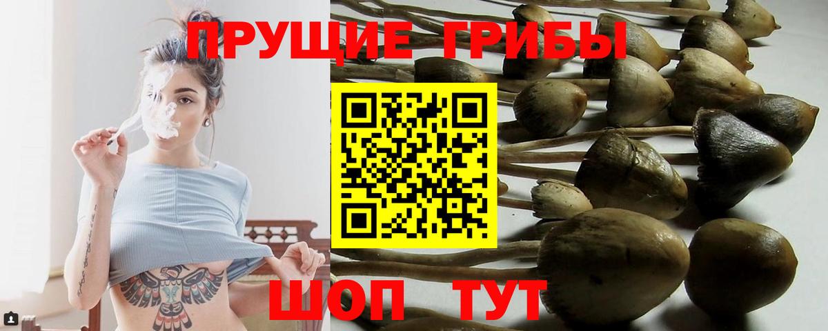 Псилоцибиновые грибы прущие грибы Свободный