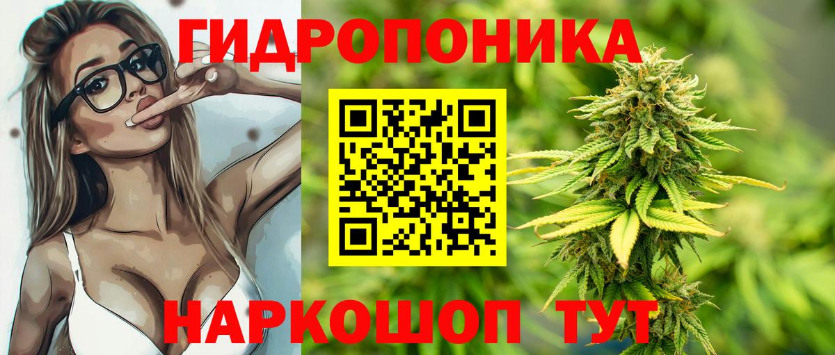 Бошки Шишки VHQ Свободный